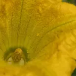 IMG_1343