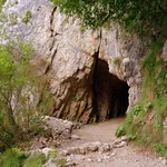 IMG_0423