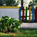 IMG_20220516_101048_1