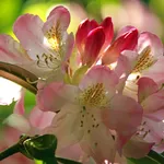 IMG_20201008_110507