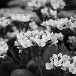 IMG_20200212_102207