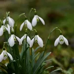 IMG_1124