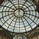IMG_3707-Copy