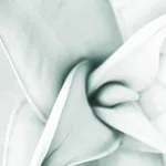 received_1205183339862711