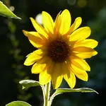122398494_346956886362842_562811420850419205_n