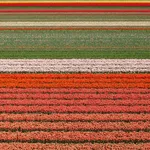 277544057_310535647854154_5954542455268422374_n-Copy